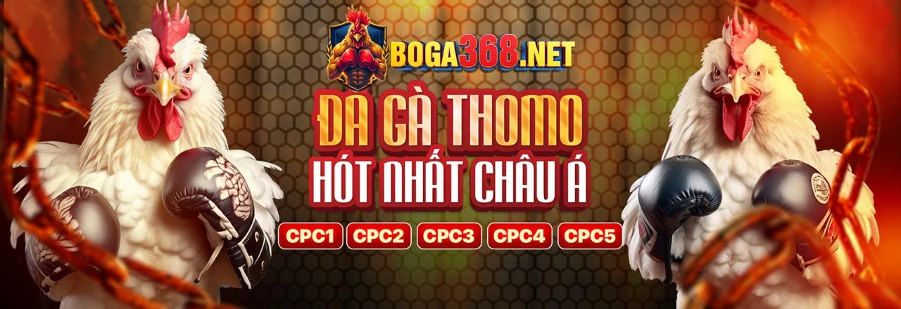 Trải nghiệm cá cược thể thao đỉnh cao với 888clb APP
